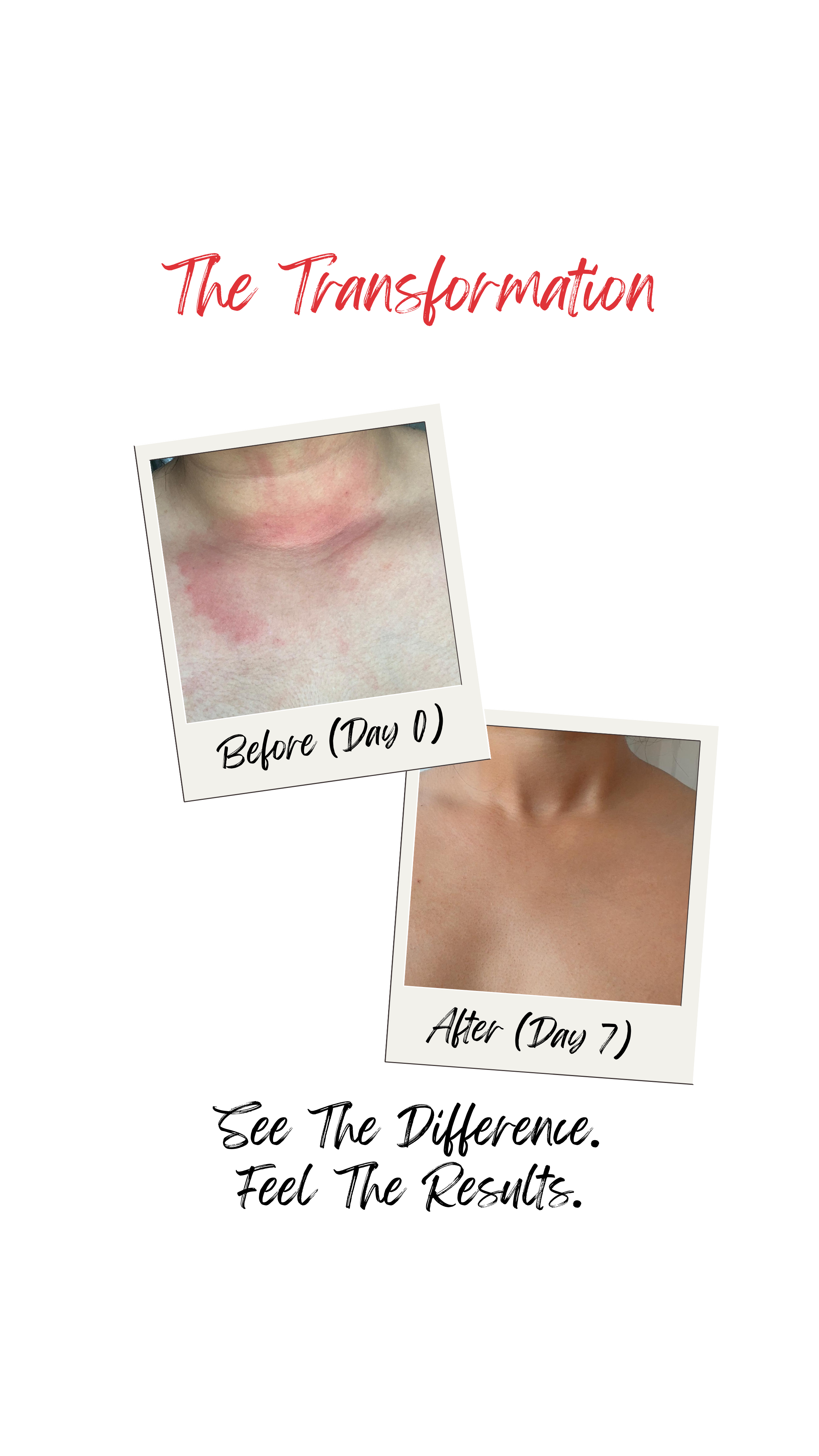 Dessert - Deep Conditioning Body Butter