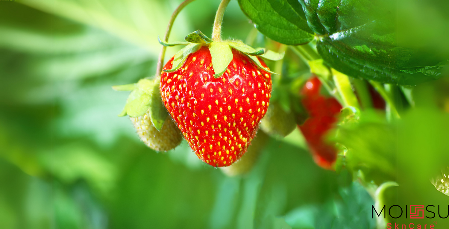 Image depicting a strawberry growing on the vine, im age represents strawberry seed oil 